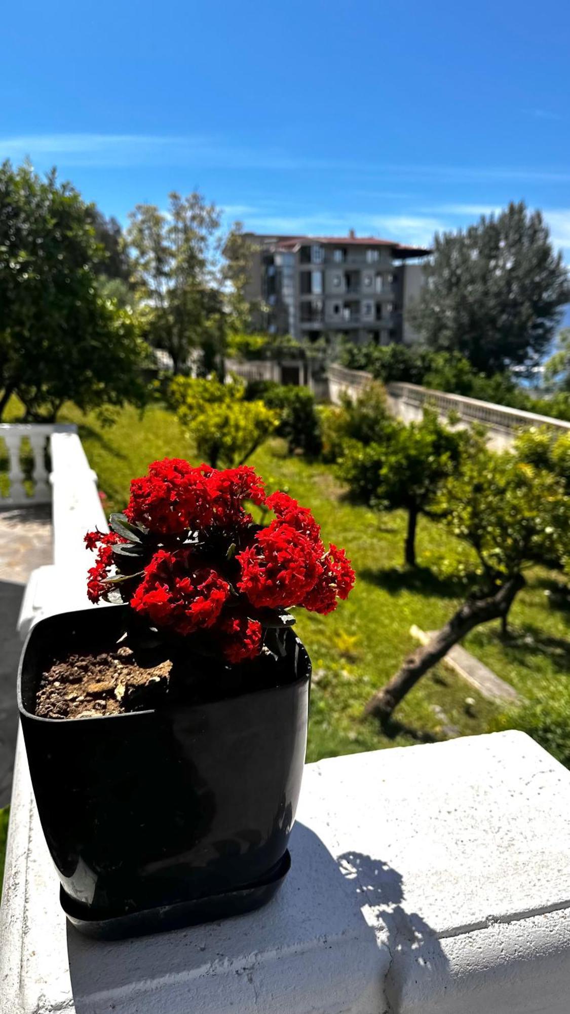 Villa Mare - For Families & Groups Avlonya Dış mekan fotoğraf